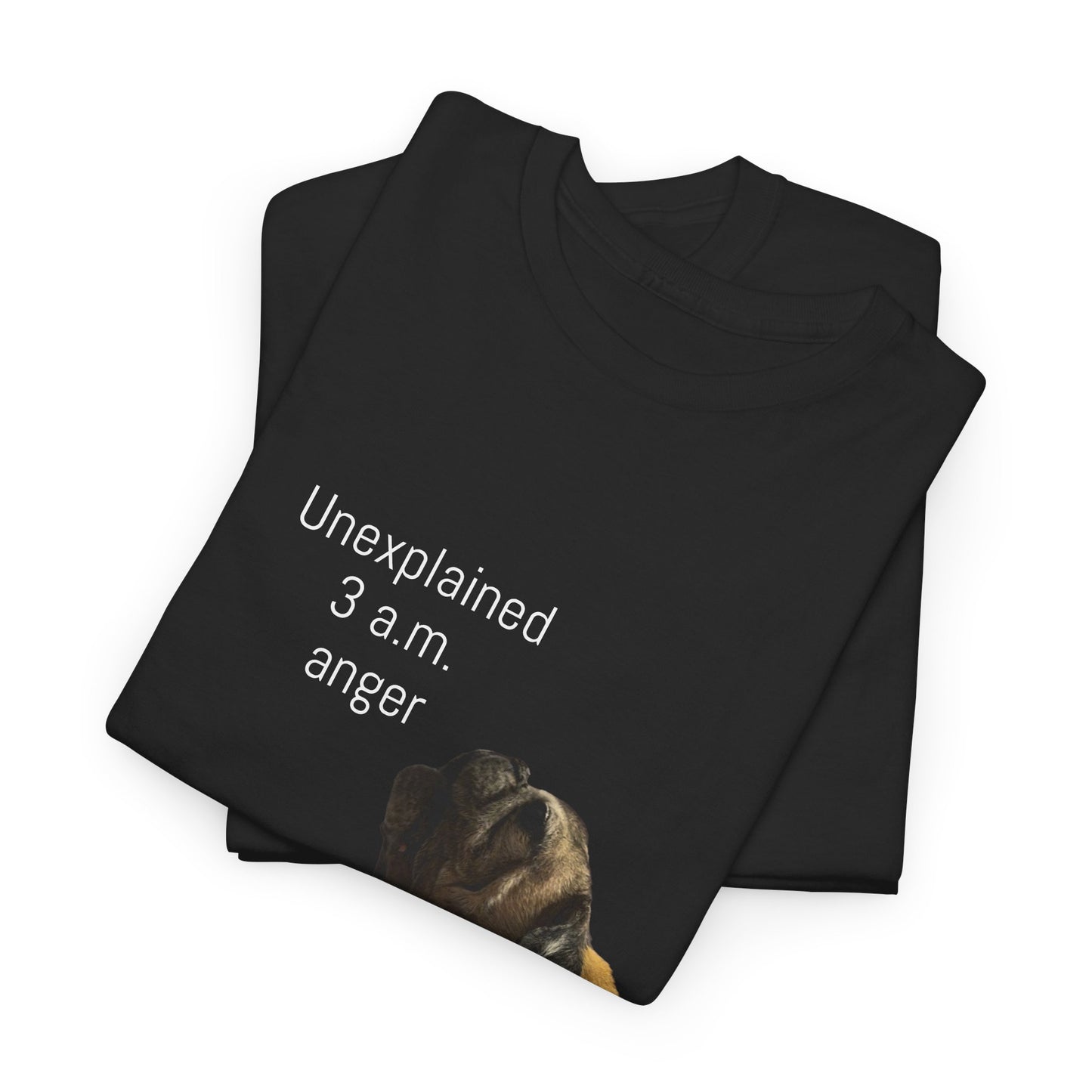 Unexplained 3 a.m. Anger Tee