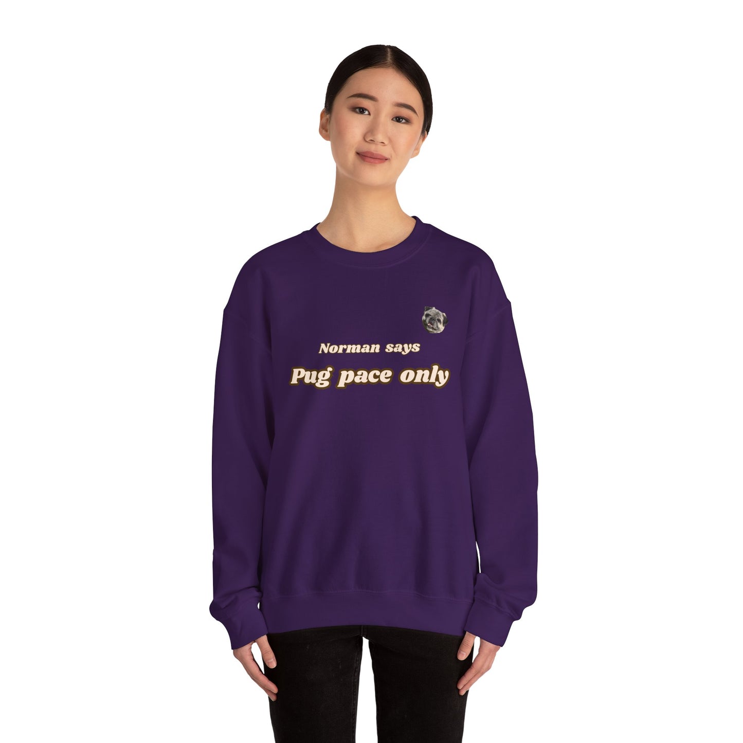 Norman says Pug Pace Only Crewneck (4 colors)